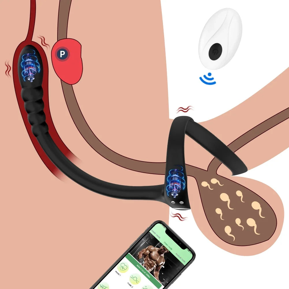 Vibrateur Prostatique Connecté - Sextoy Bluetooth pour Homme avec Anneau Pénien et Massage Testiculaire - Plug Anal et Cockring 3 en 1
